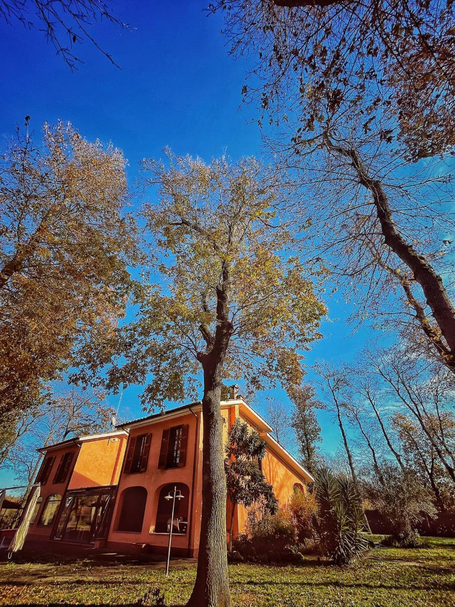 Guest House La Selvotta Formello Esterno foto